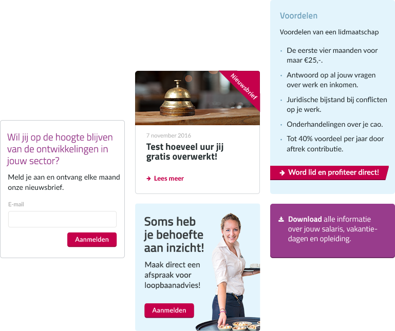 Op de nieuwe website kan de FNV allerlei door ons ontwikkelde widgets gebruiken